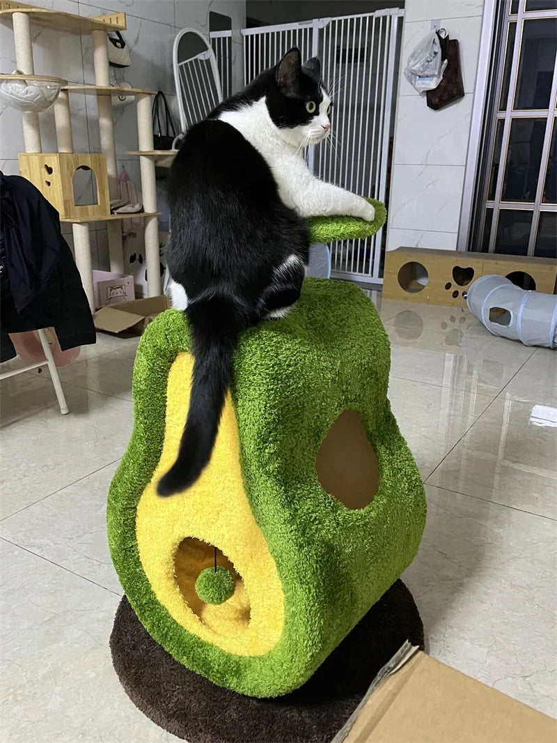 My Cats Are Obsessed With This Avocado Cat Bed (And So Am I)