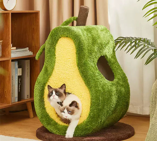 My Cats Are Obsessed With This Avocado Cat Bed (And So Am I)