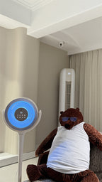 Corduroy Bear Plush Toys - Brown Bear and White Polar Bear Stuffed Animals